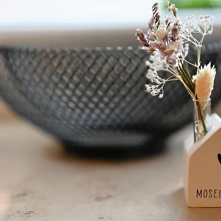 Appartement Moselglueck Winningen