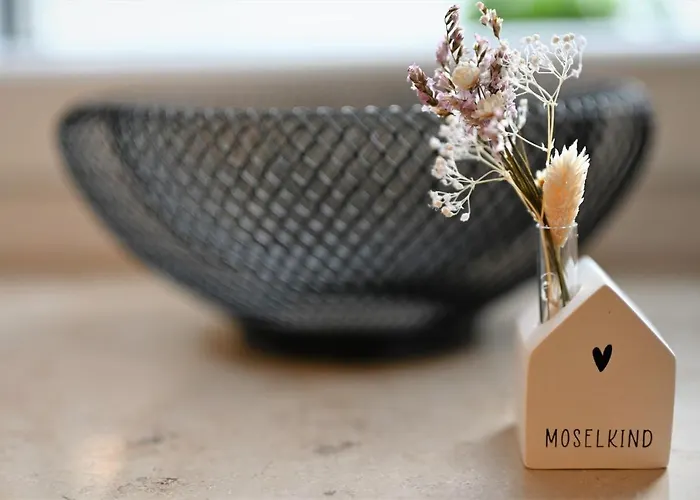 Apartament Moselglueck Winningen